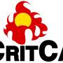 critcat_logo.jpg